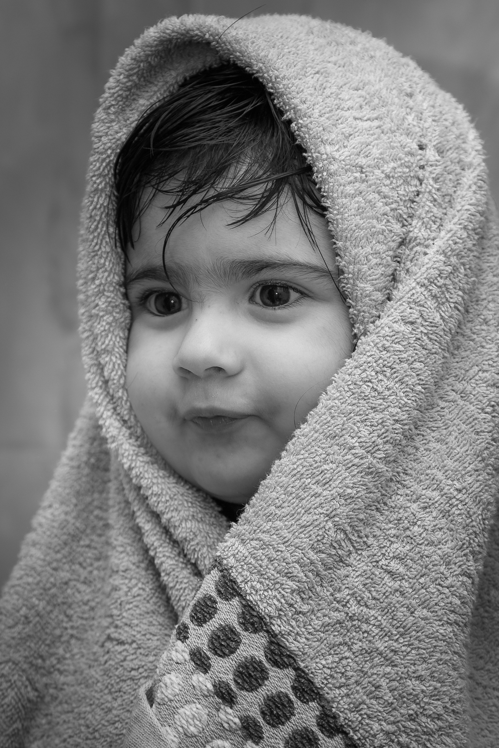 Arianna 5...