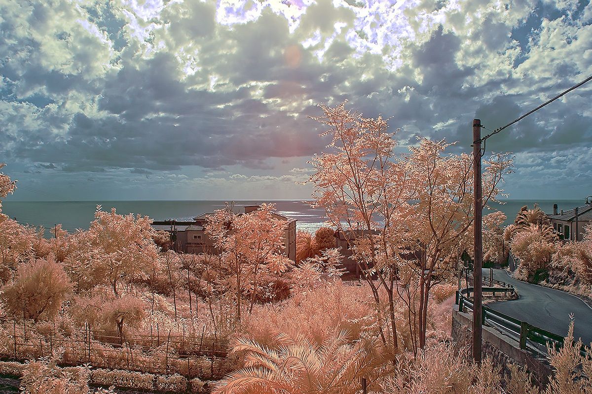 Landscape in infrared light...