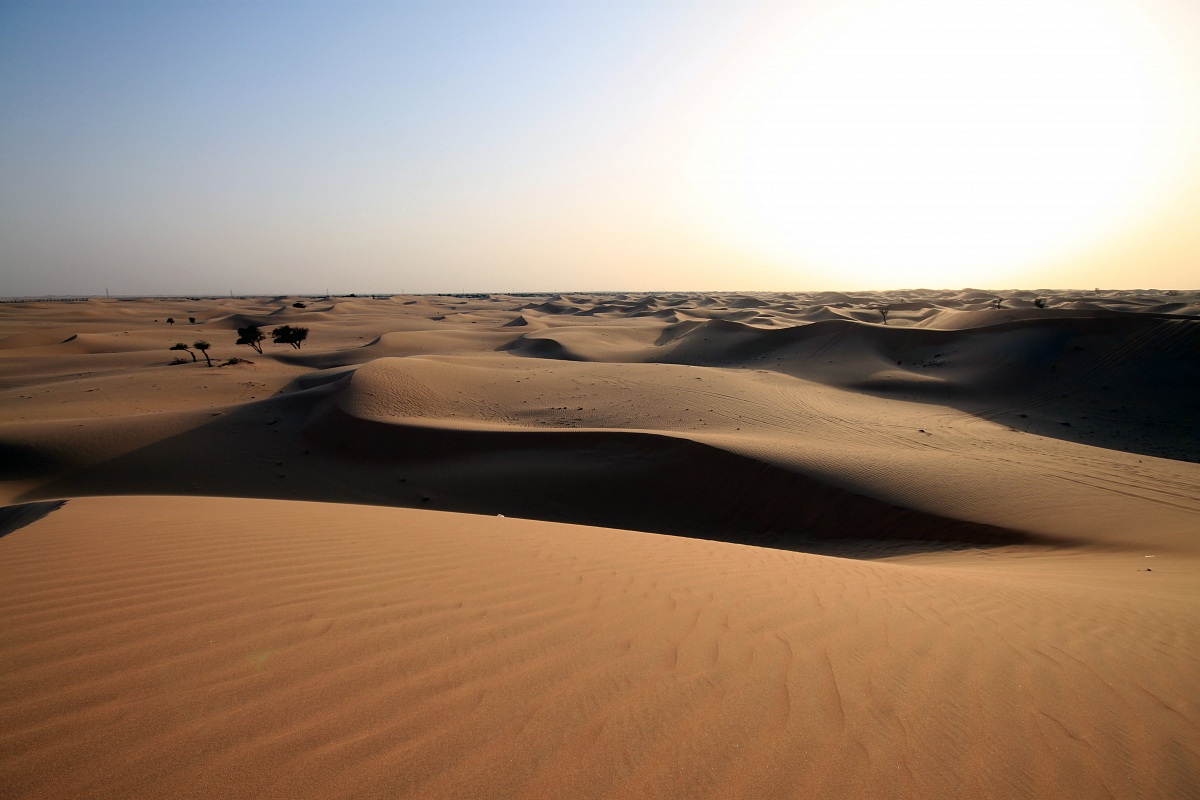 Abu Dhabi Desert...
