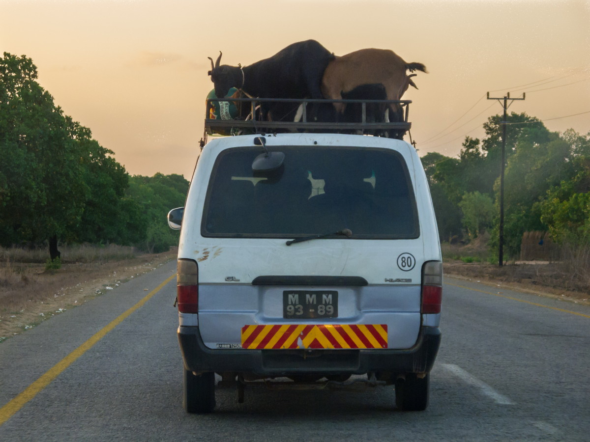 the goat lives above the van ...............