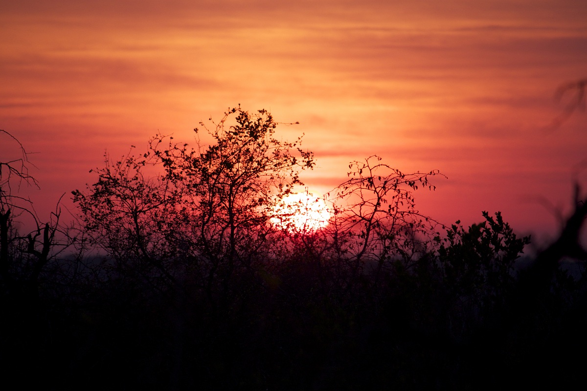 Sunrise in Kruger...