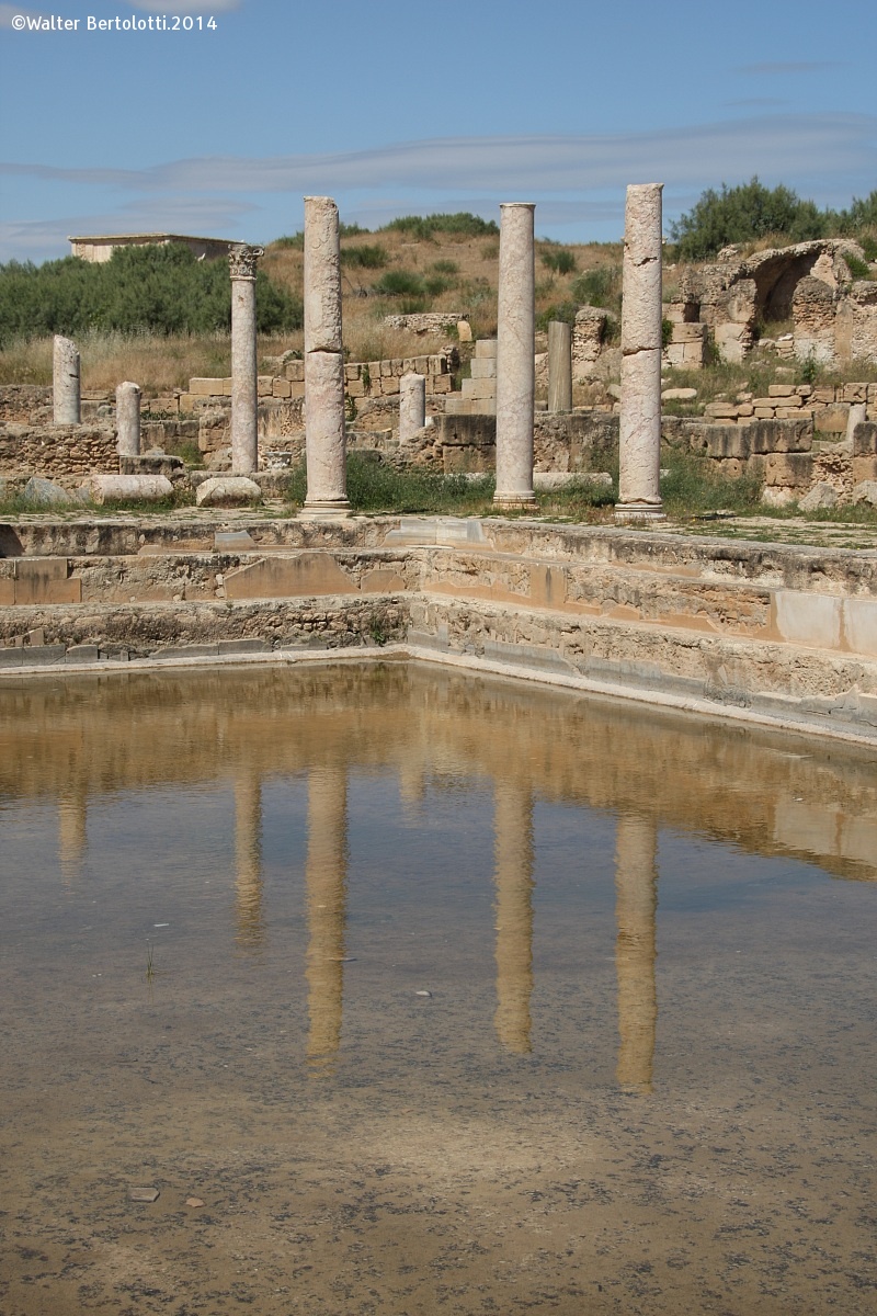 Riflessi di Roma-Leptis Magna...