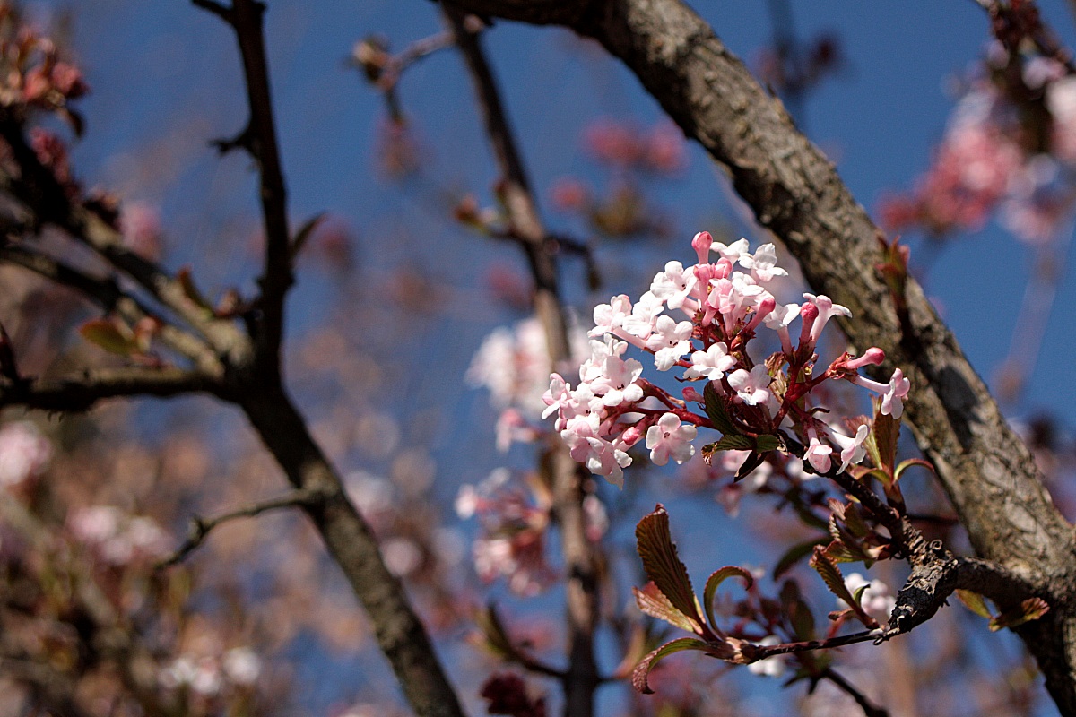 Spring...