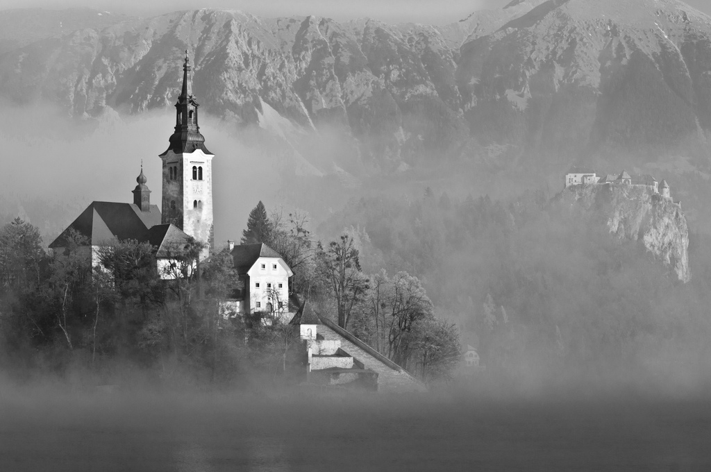 Bled In the Fog...