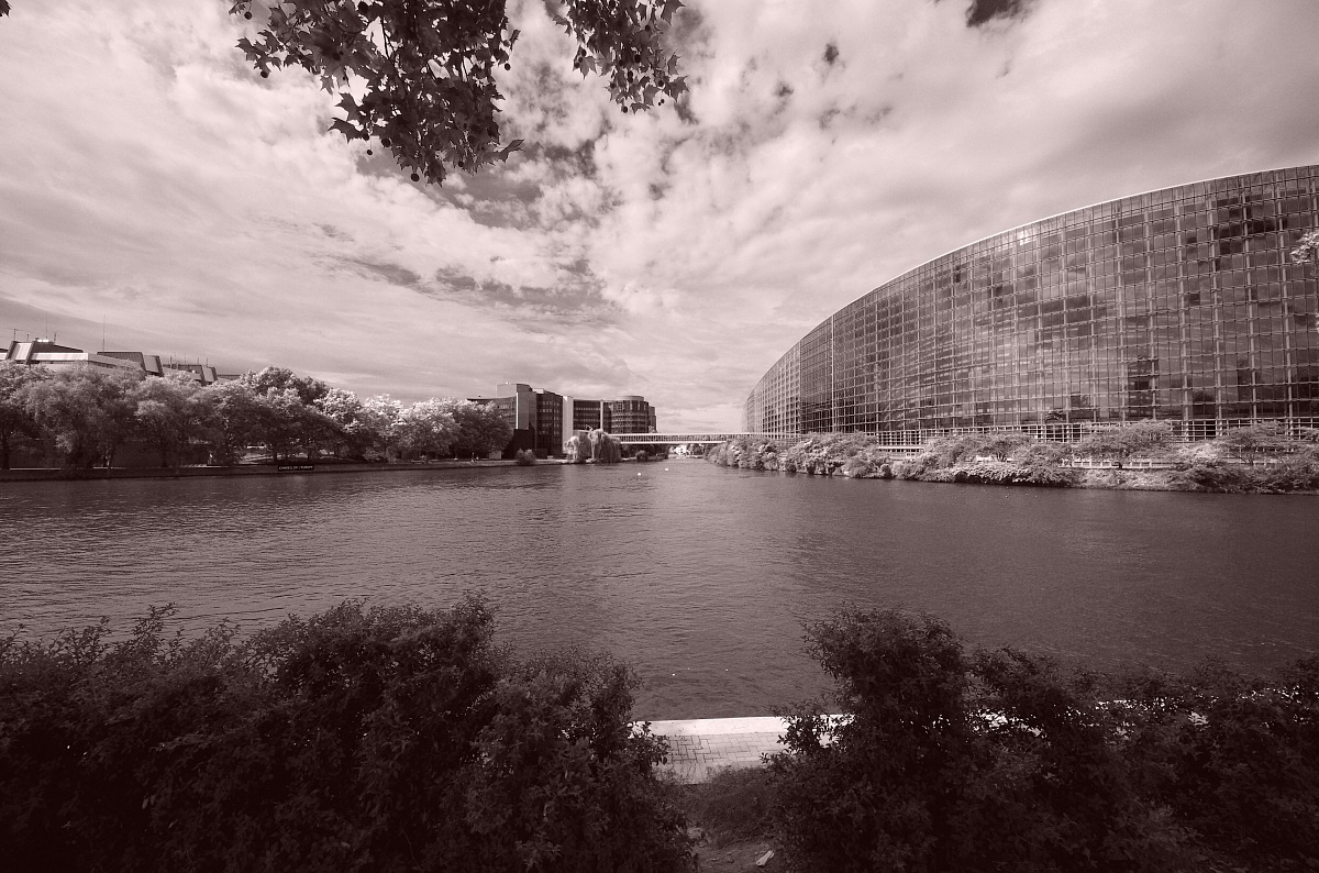 Strasburgo Parlamento Europeo IR...