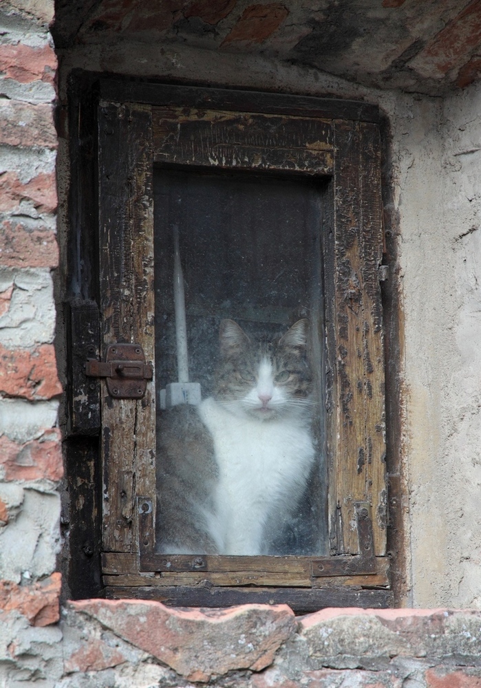 Untitled Photo...