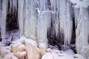 [Photo]
