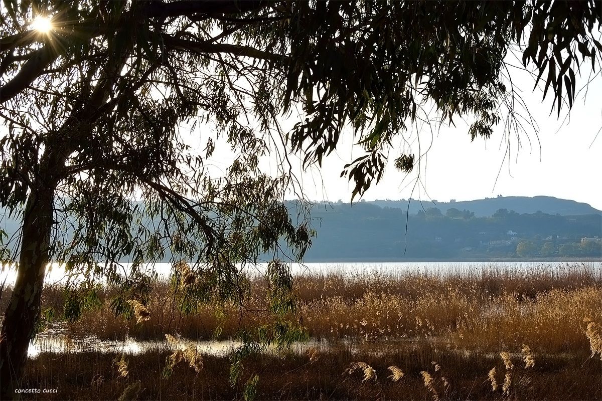 Il magico Lago di Pergusa...