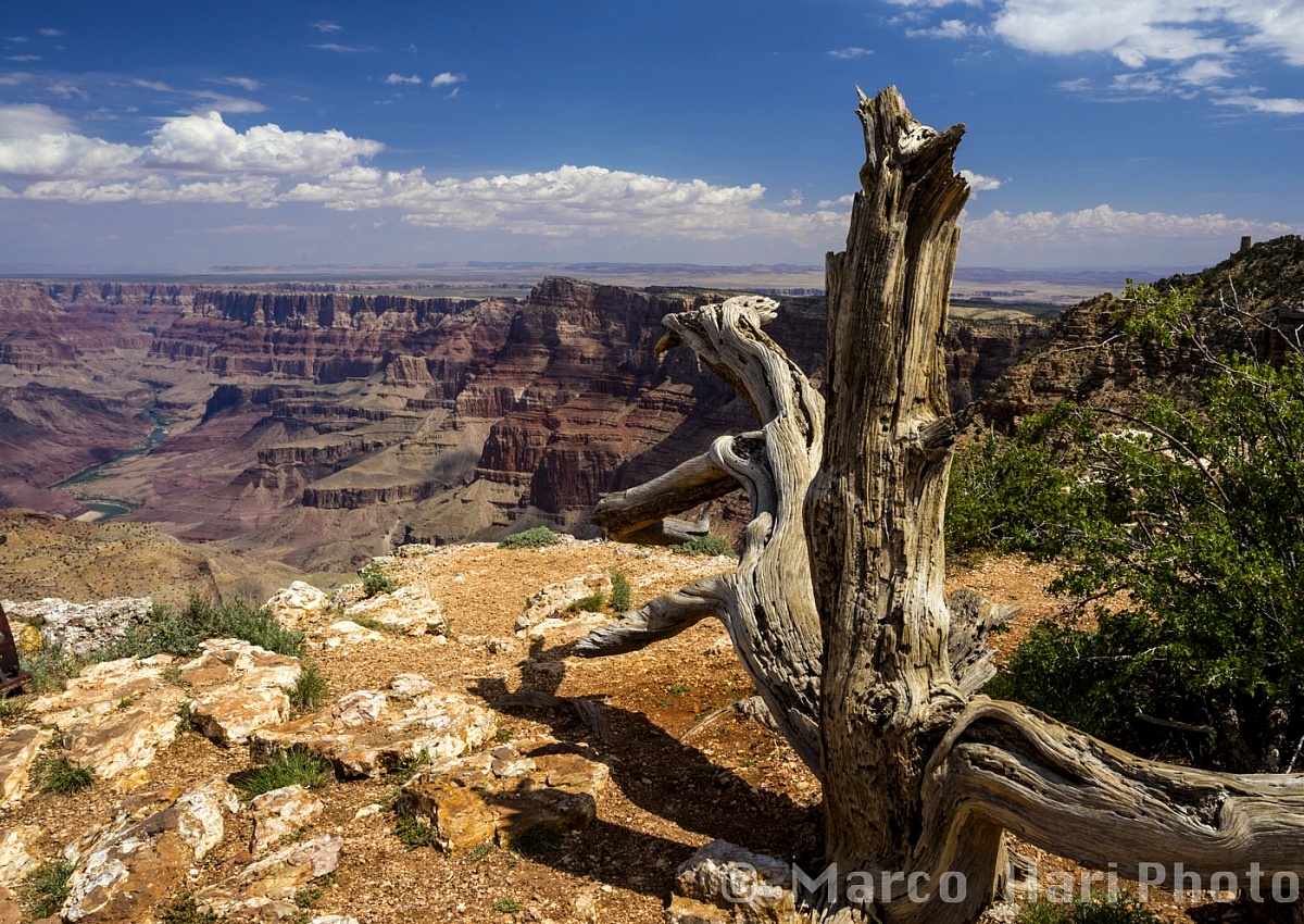Grand Canyon from Desert Point...