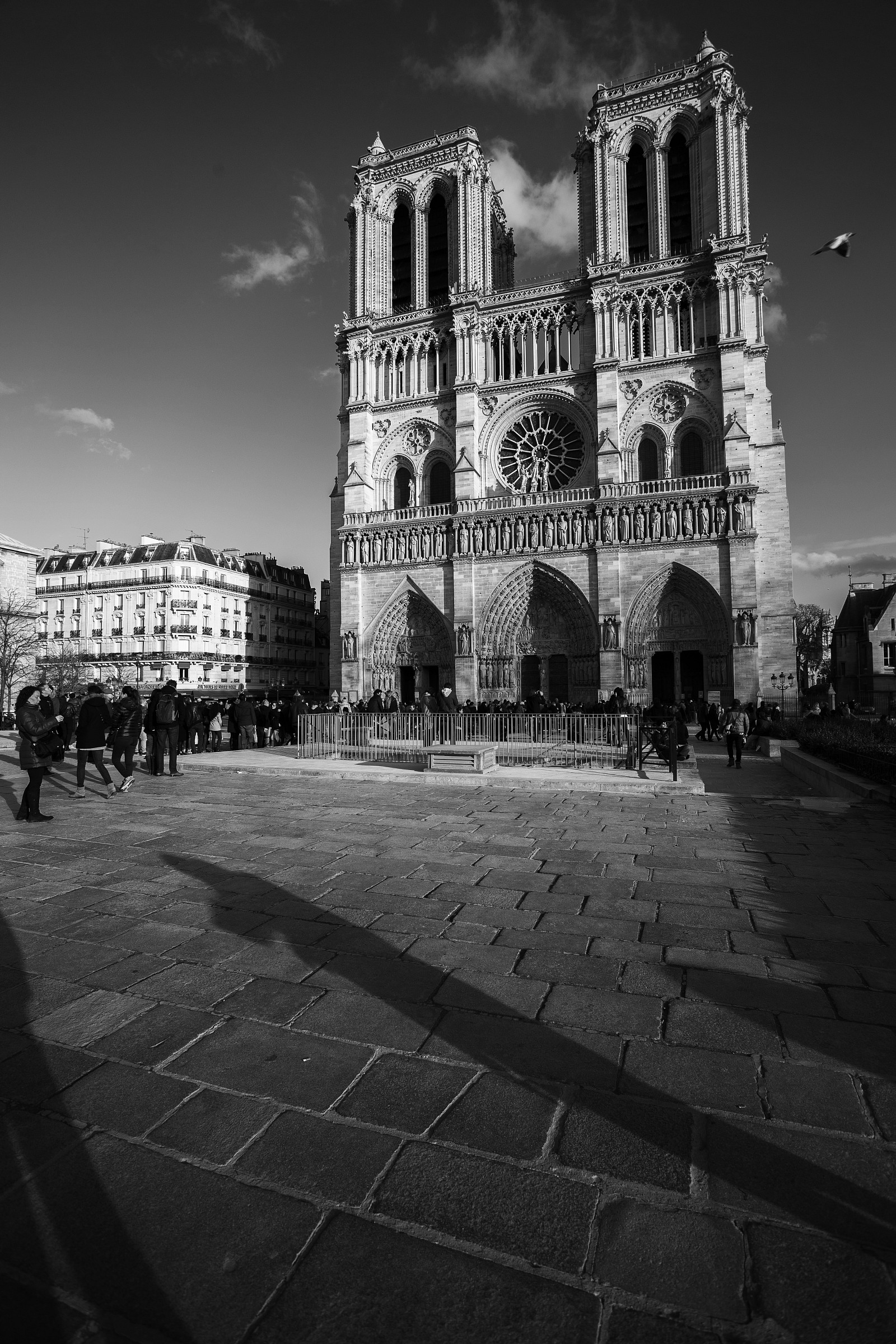 Notre Dame in BW...