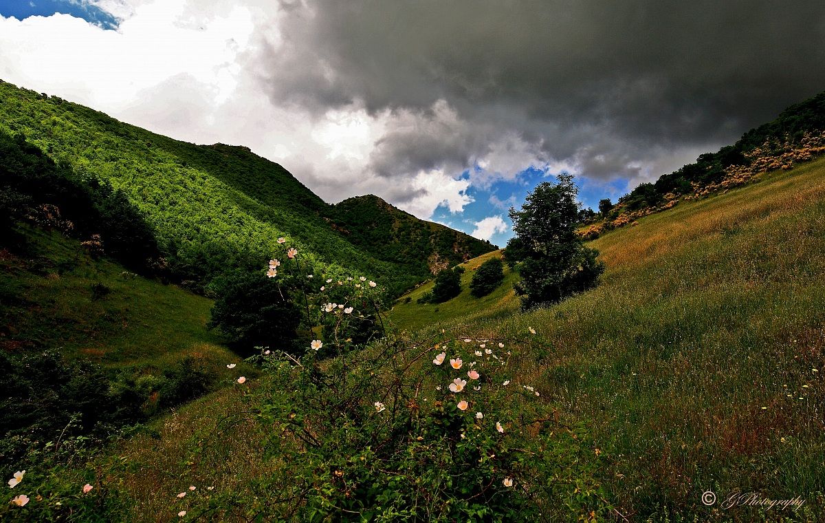 Un posto sereno...