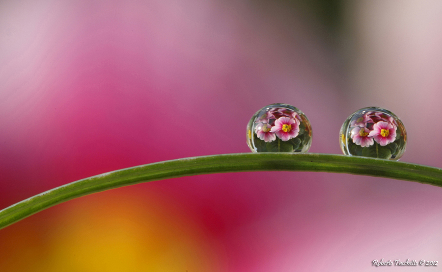 Water drop 3...