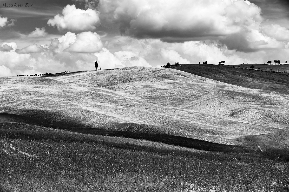 Hills of Tuscany b & w...