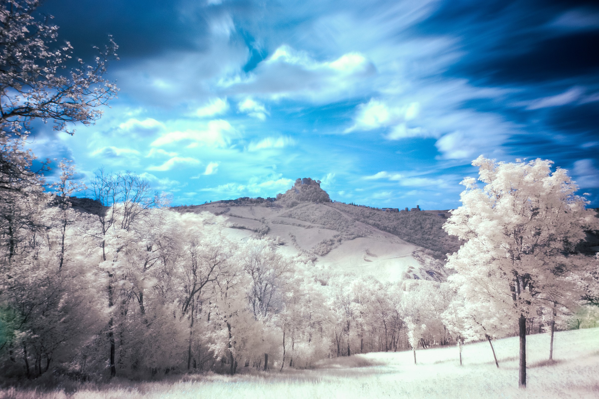 Castle of Canossa...