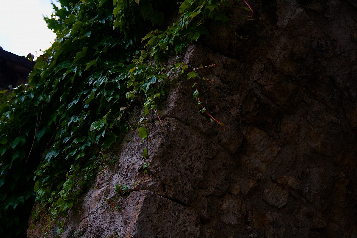 Climbing...