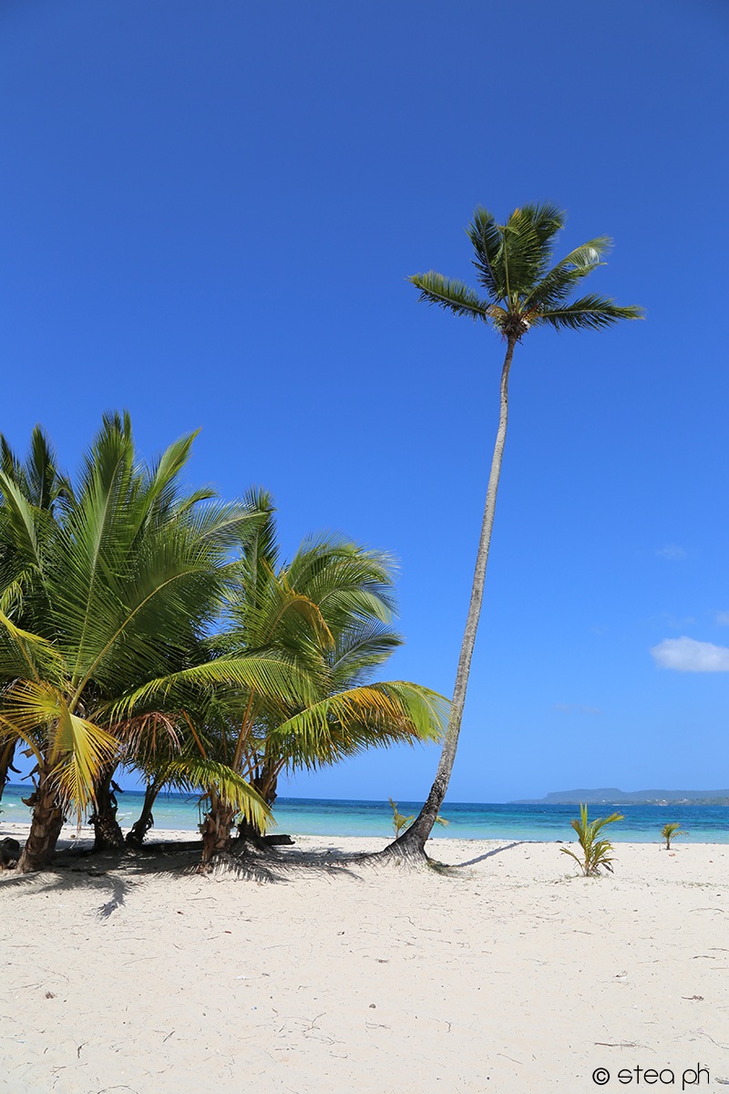 playa rincon - dominican republic...