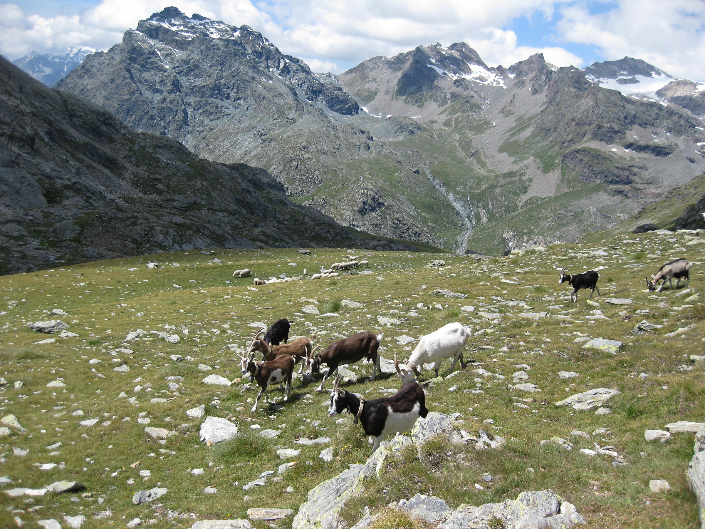 high altitude...
