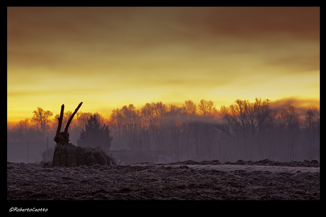 Untitled Photo...