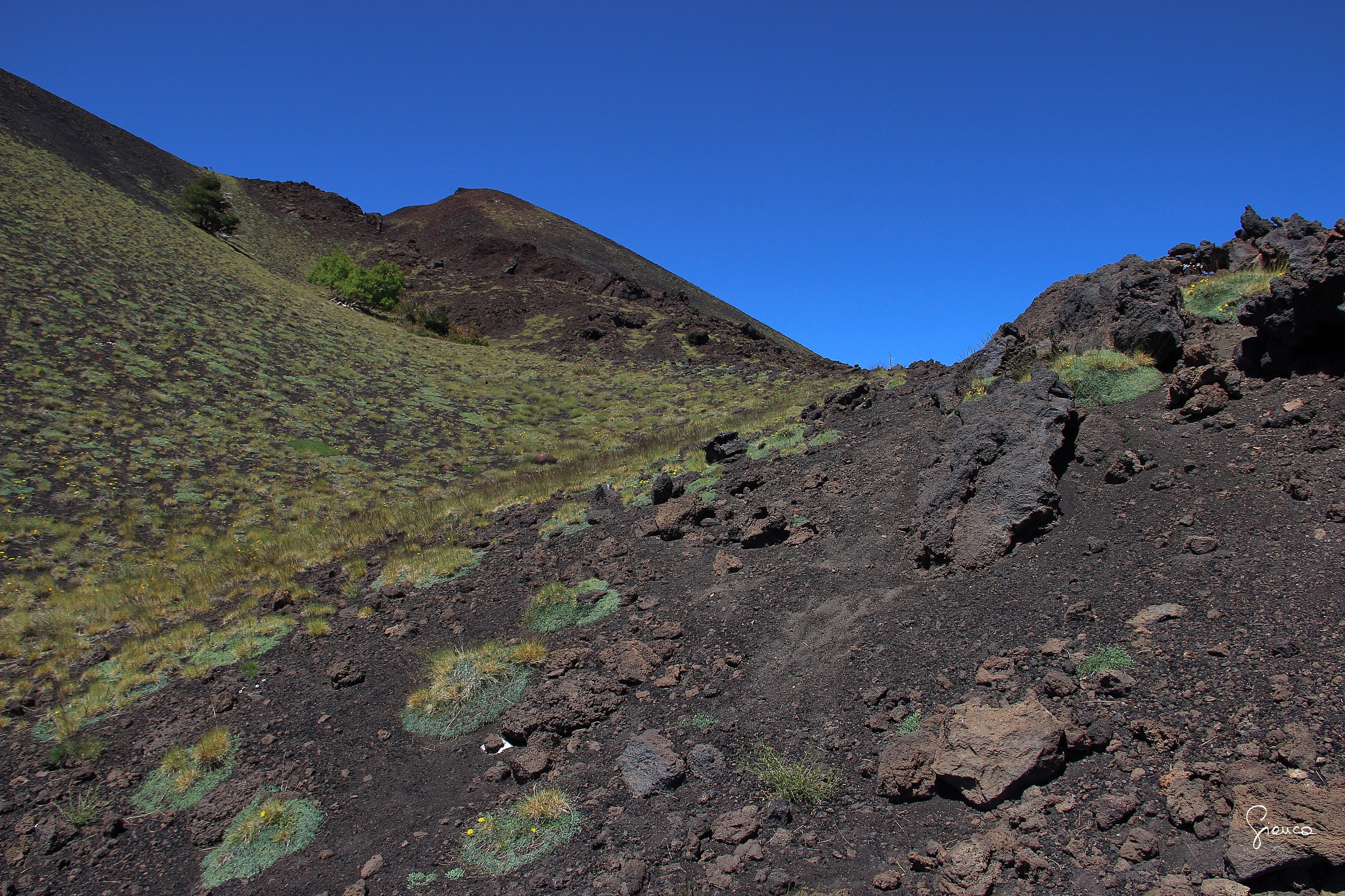 Colori dell'Etna...