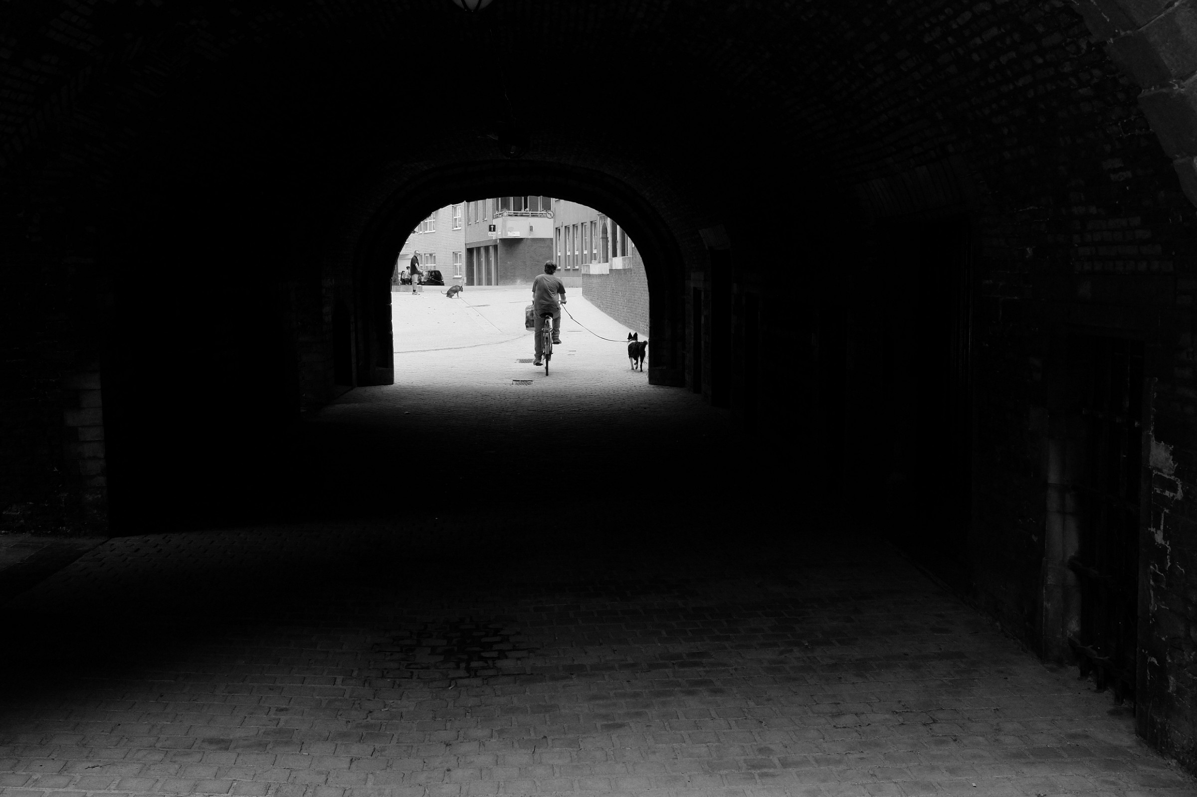 Dogs out of the tunnel, Antwerp 2014...