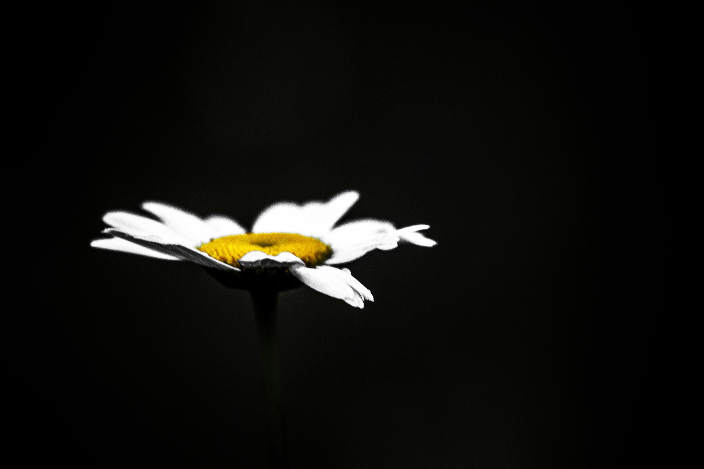 Untitled Photo...