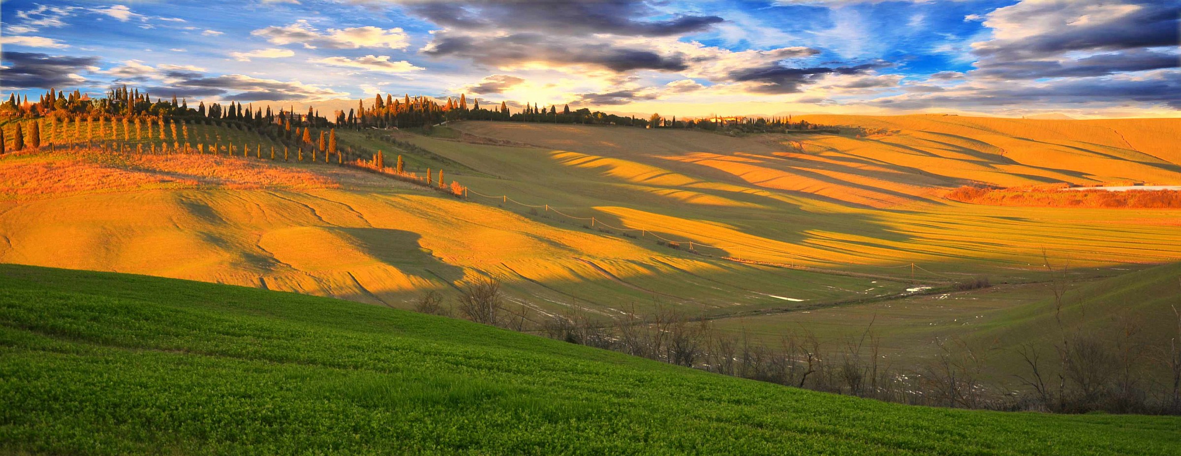 the colors of the Sienese countryside...