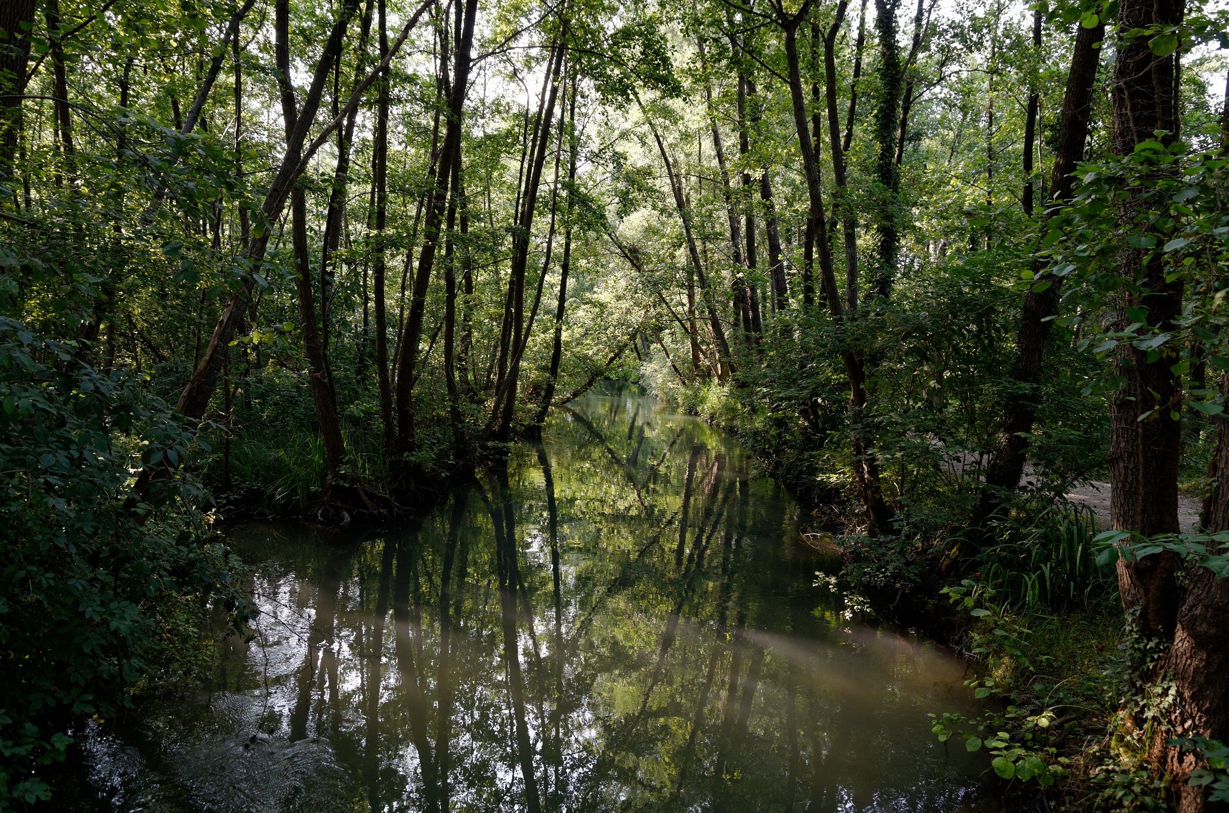 Prima della Palude...
