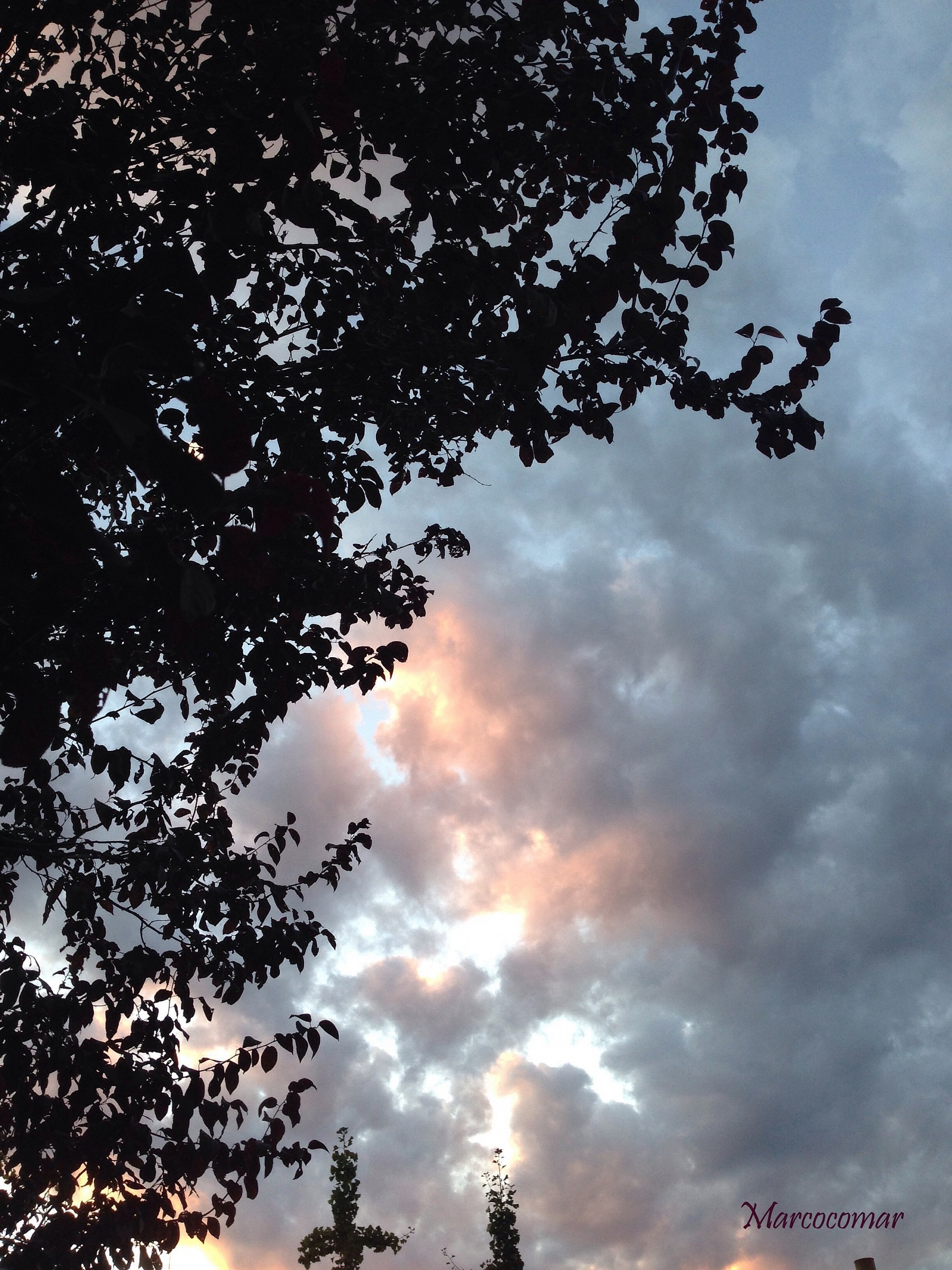 Untitled Photo...