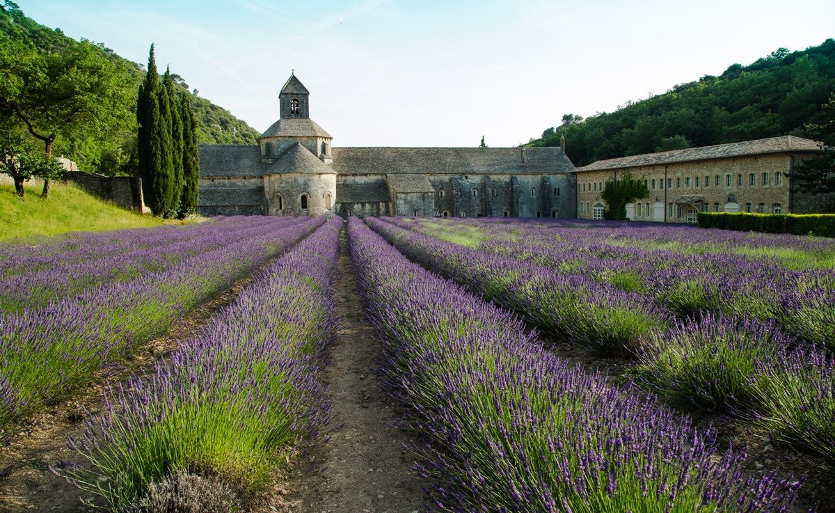 Lavender Abbey of Senanque...