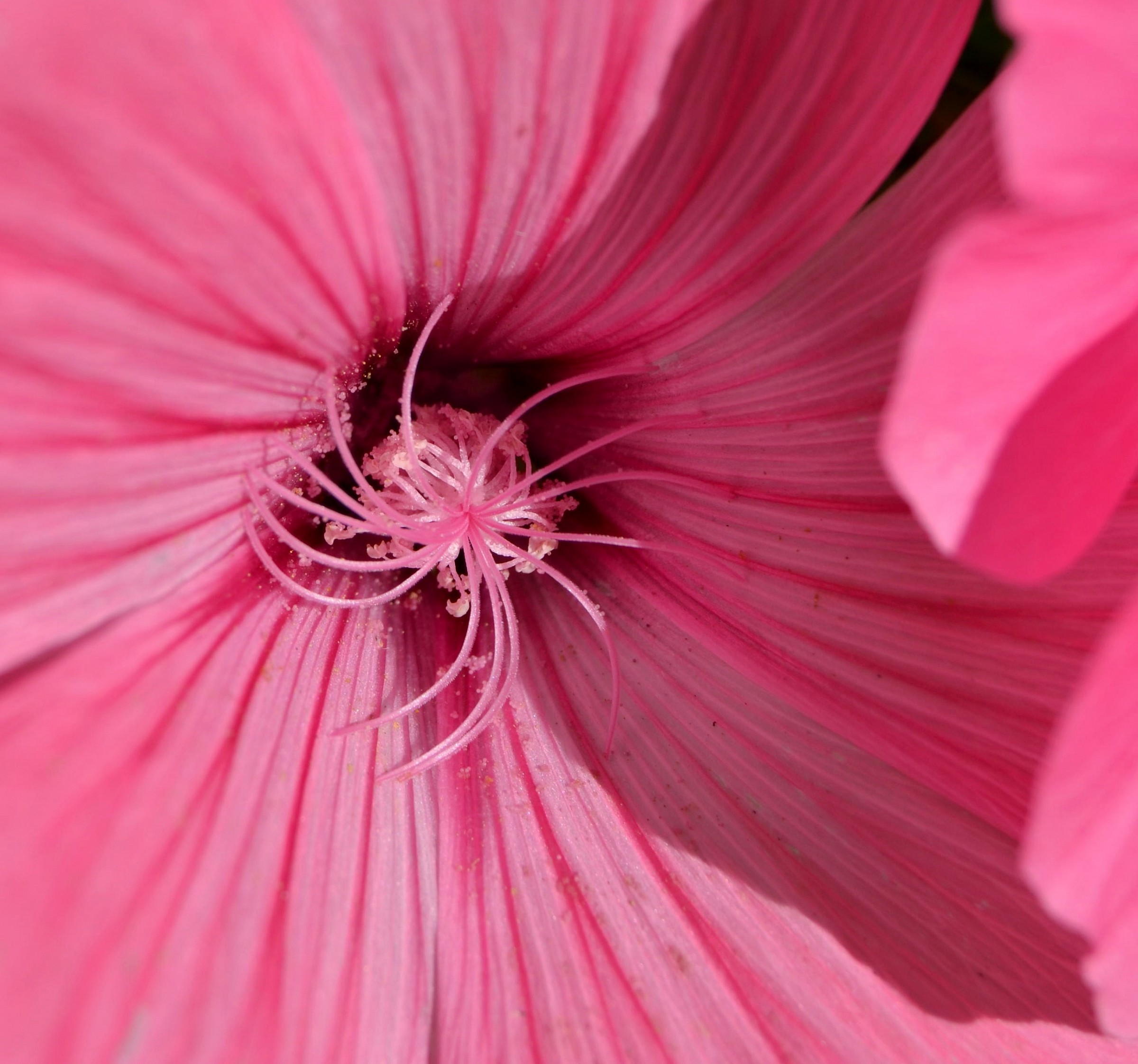 Spiral...