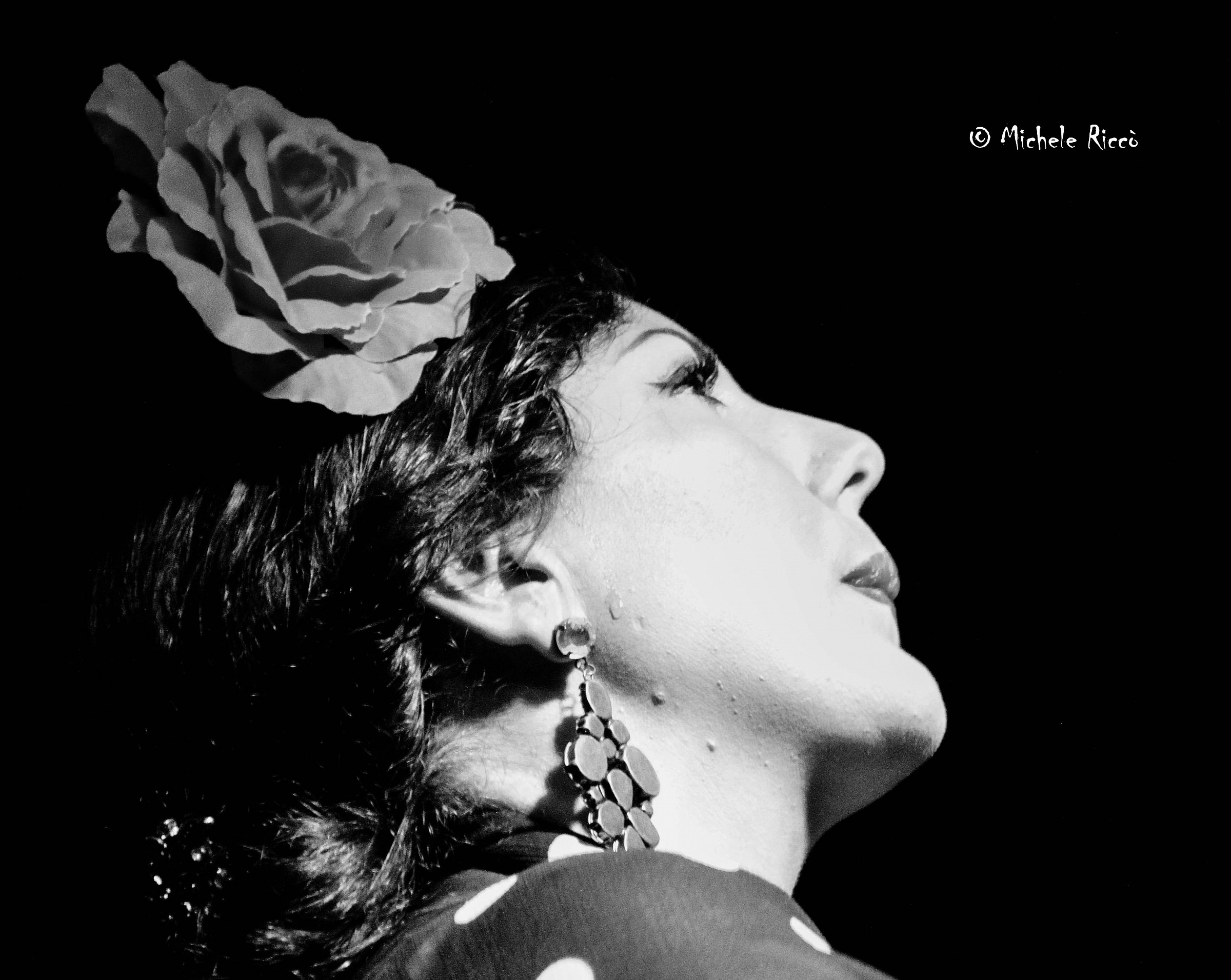 Cantante e ballerina di flamenco-Jerez...