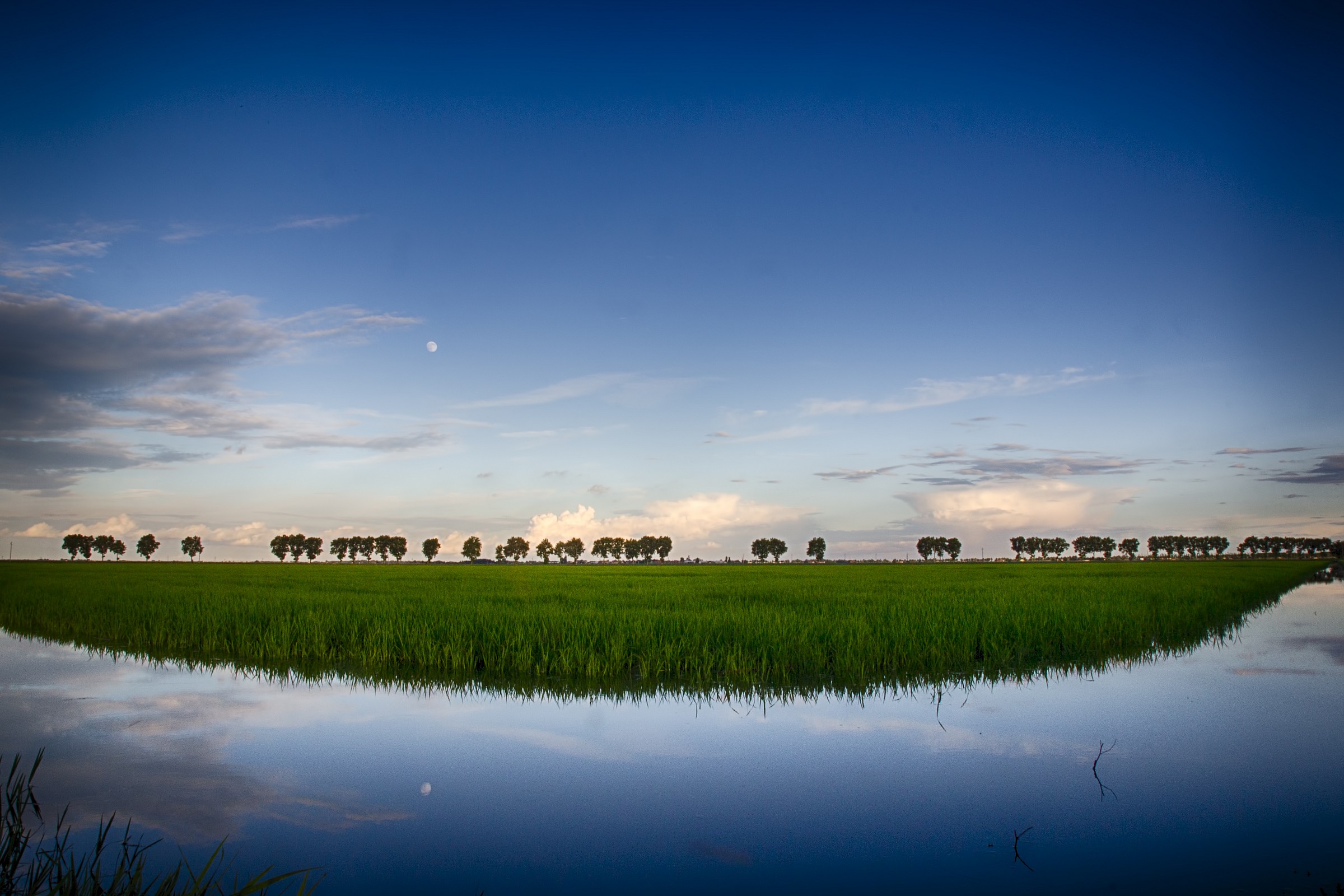 Po Valley - Paddy...
