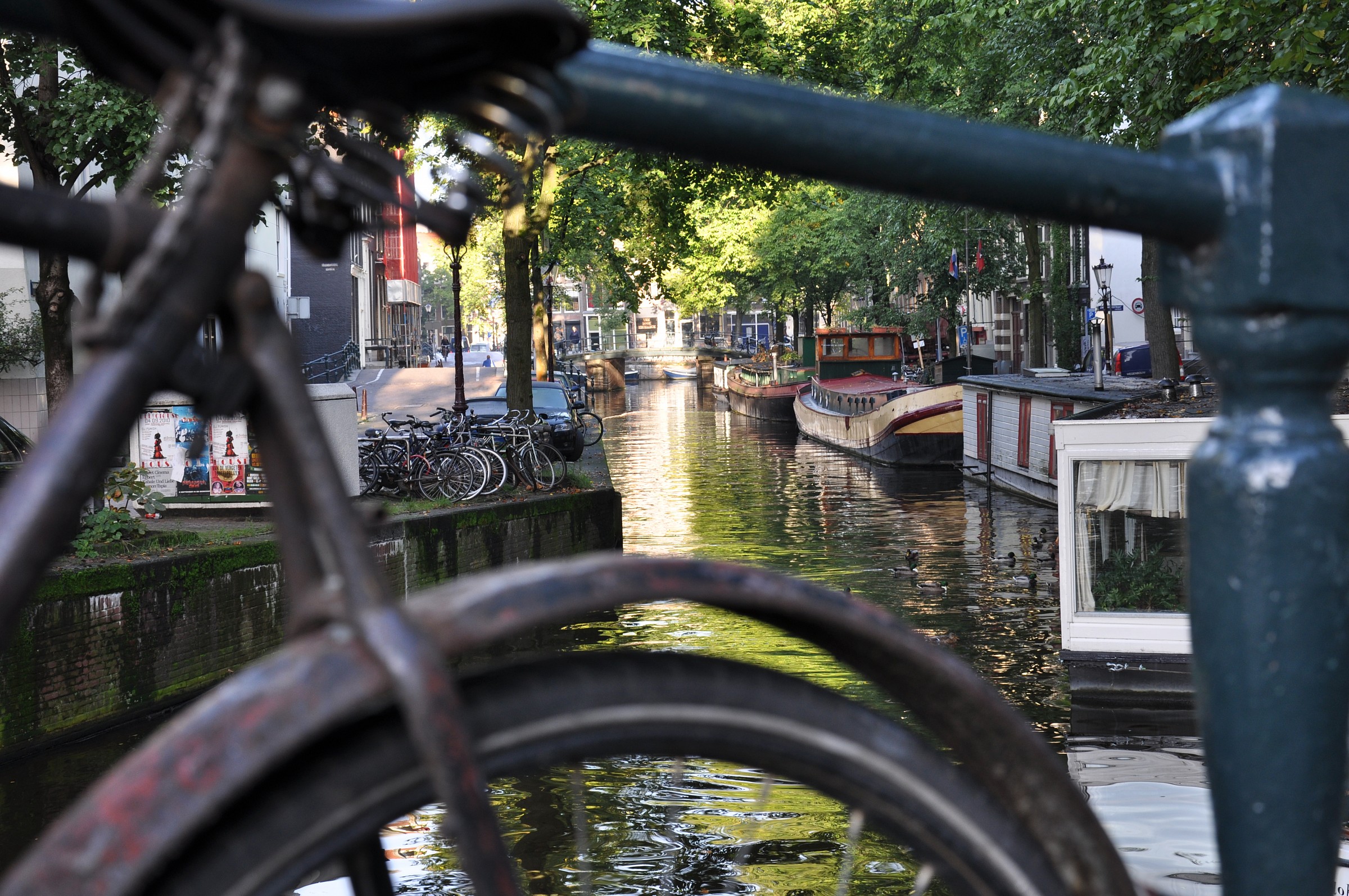 Cycling, travel to Amsterdam...