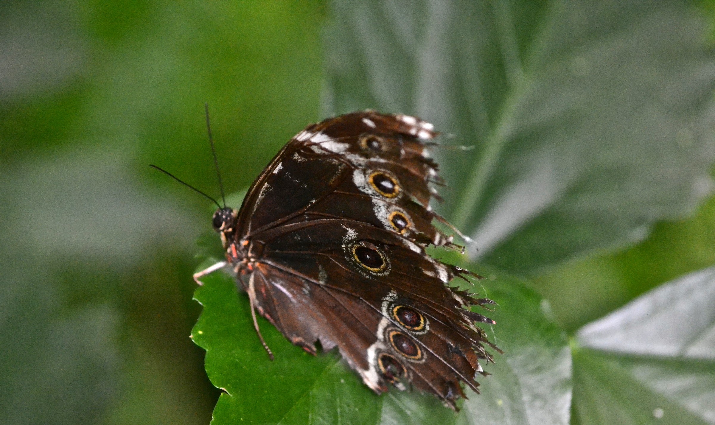 Untitled Photo...