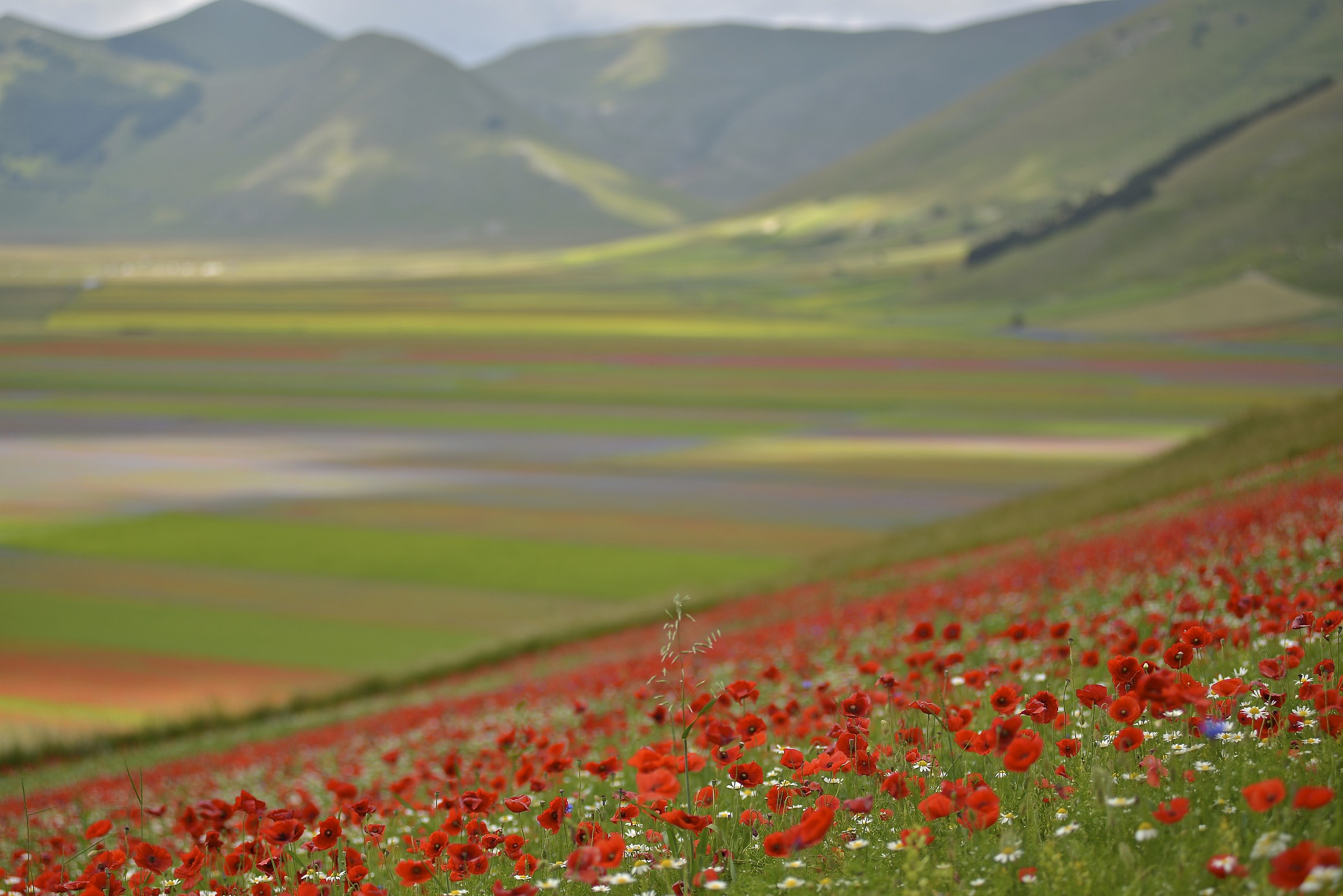 Umbria...