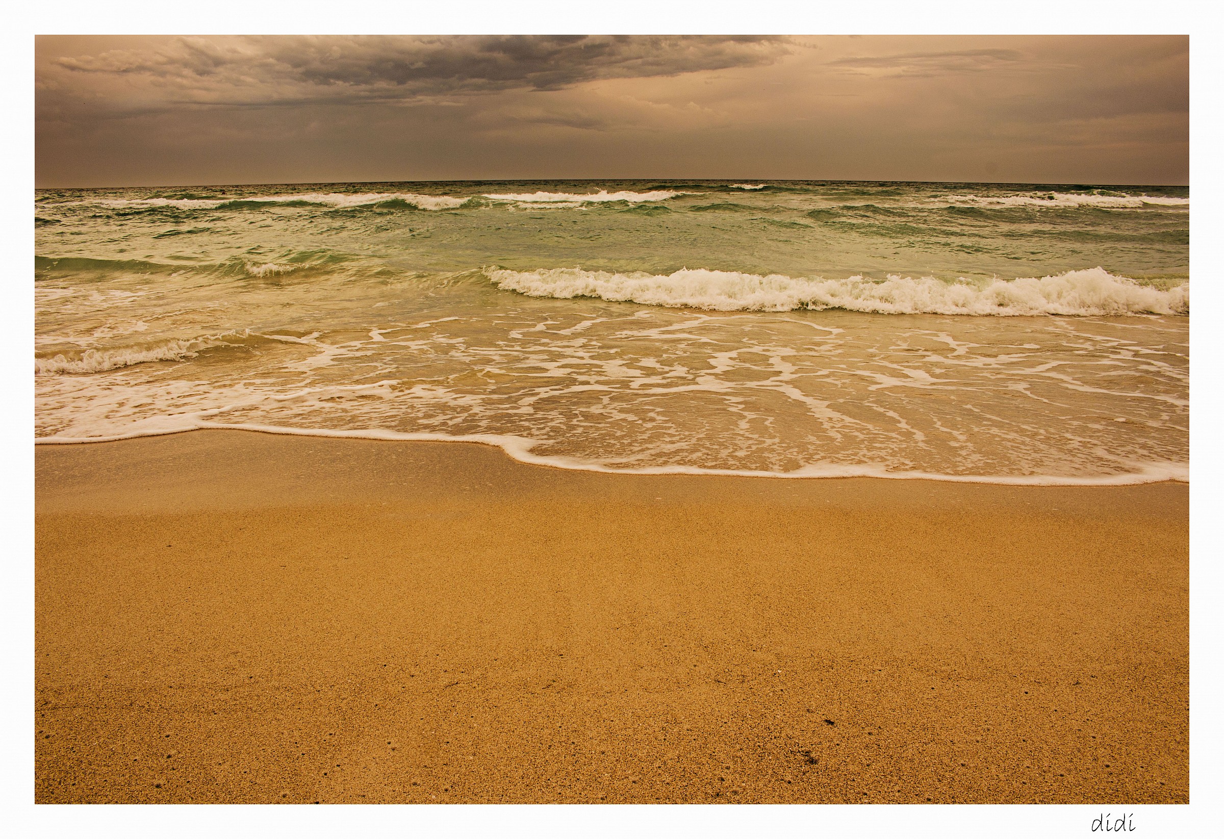 sea...
