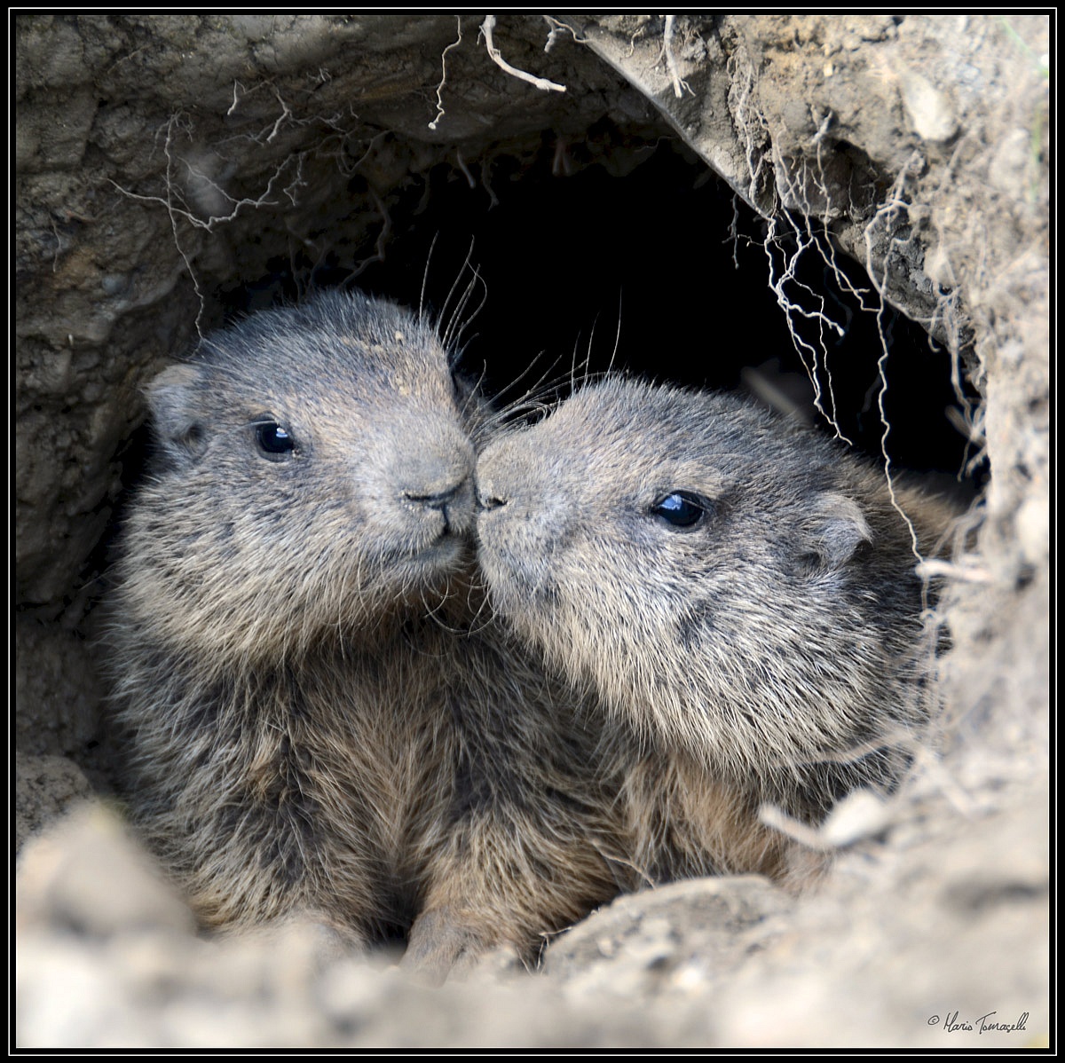 Caring for each other...