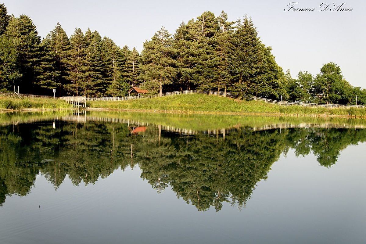 Riflessi...