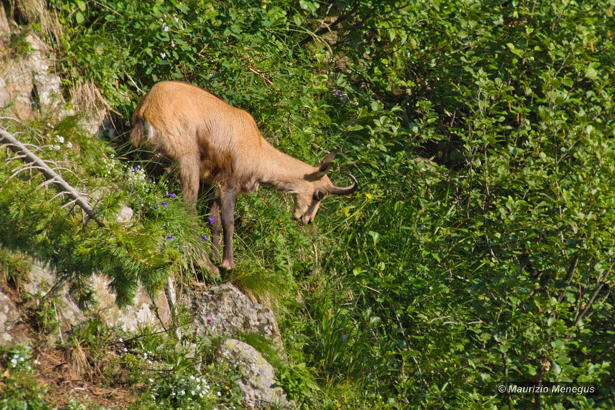Prima del salto...