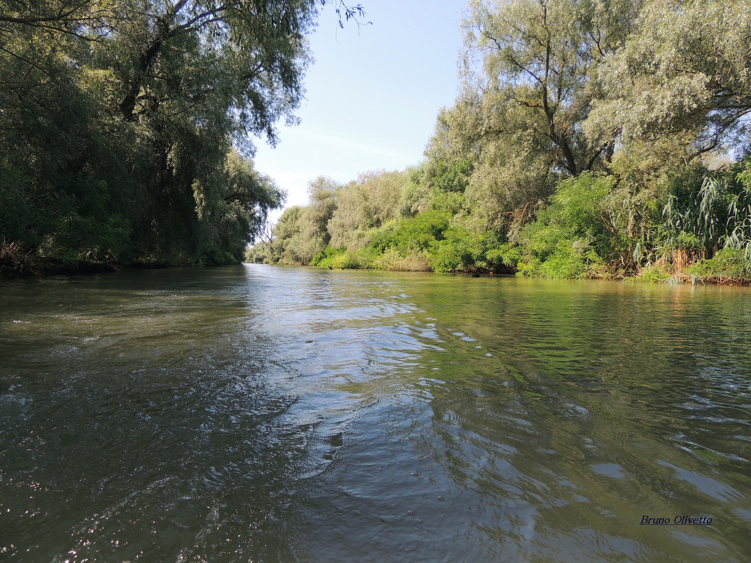 Delta Danubio...