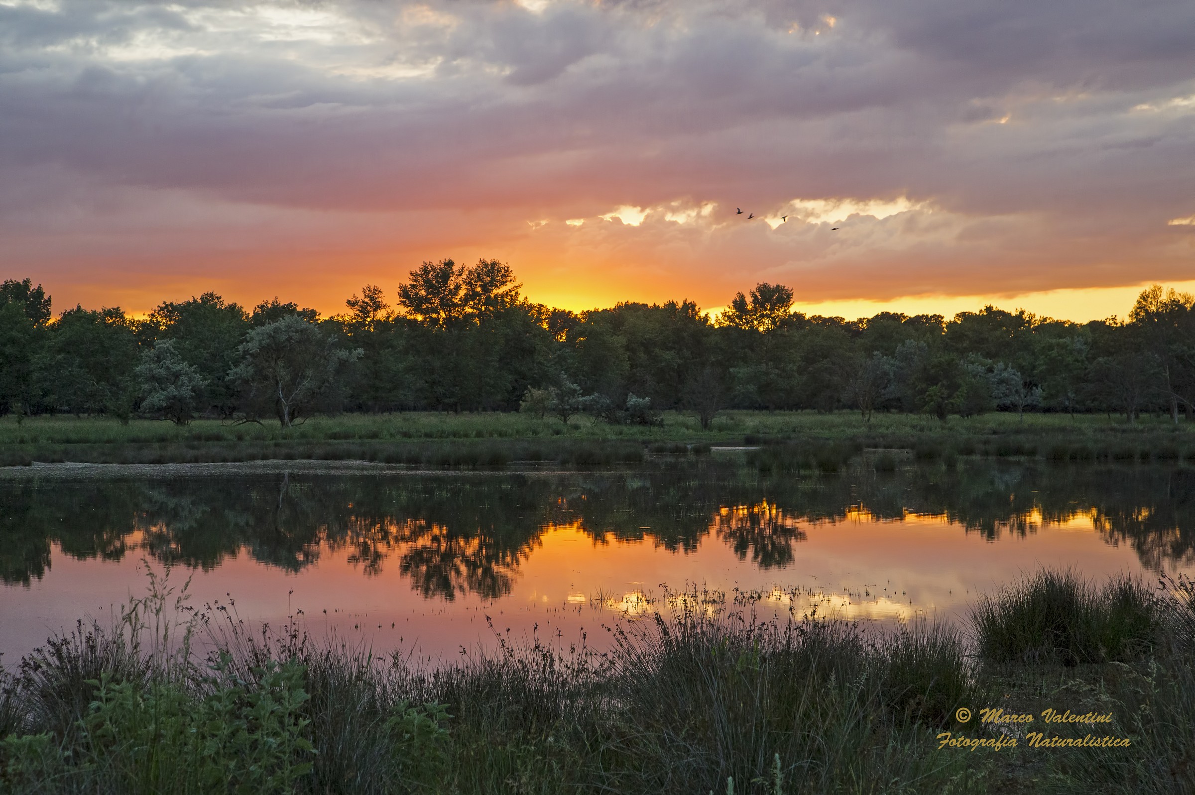 Sunset on the marsh...