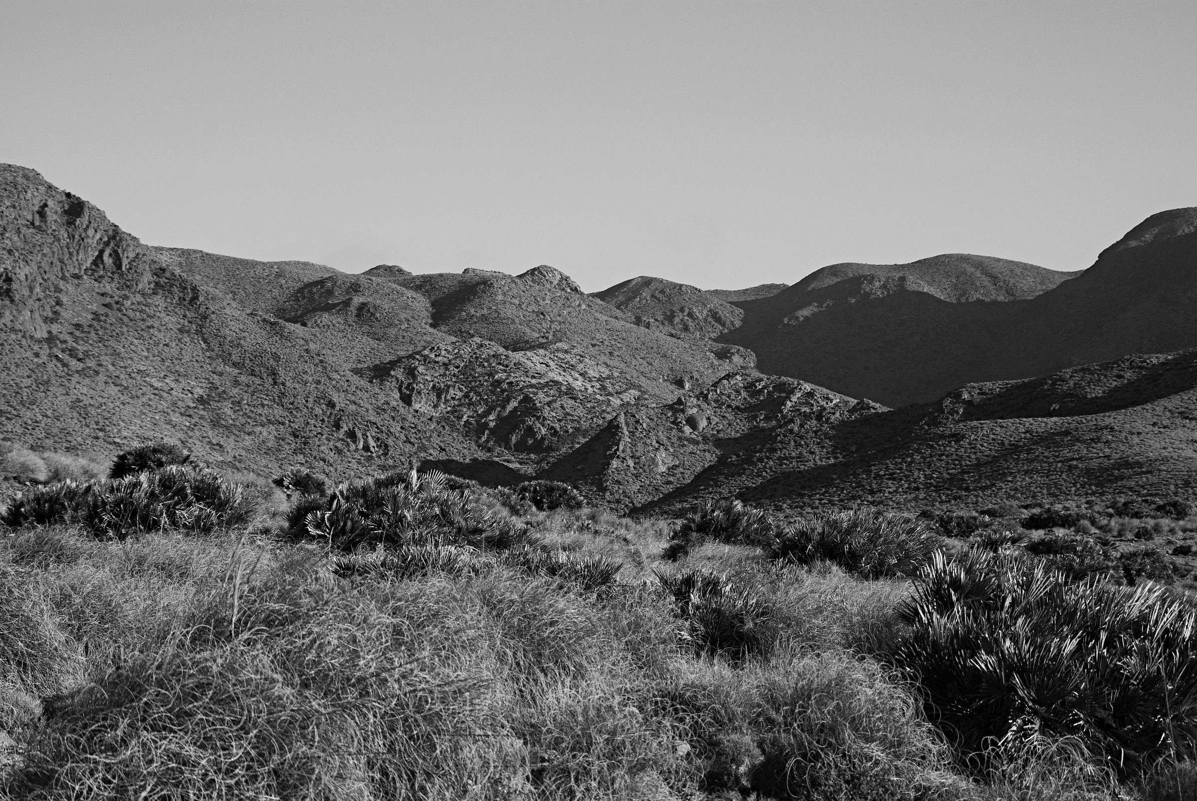 Sierra de Cabo de Gata...