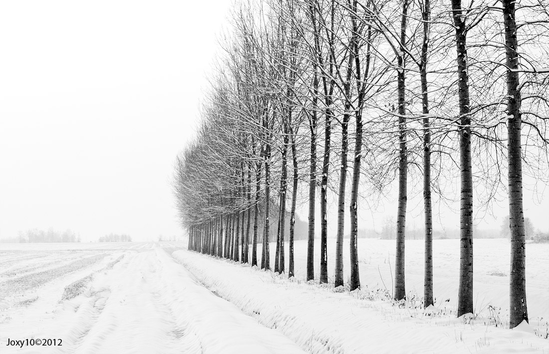 Snowy countryside...