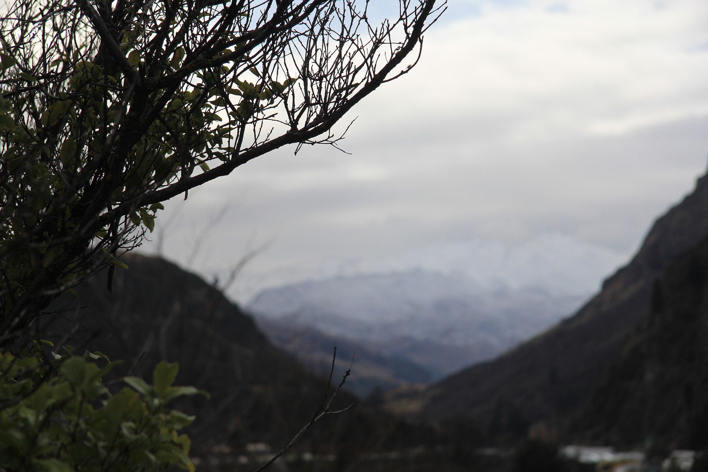 Photo...