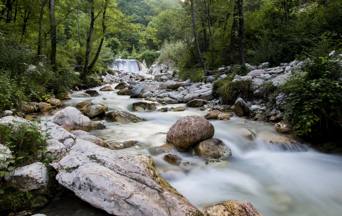 Torrente Ambro...