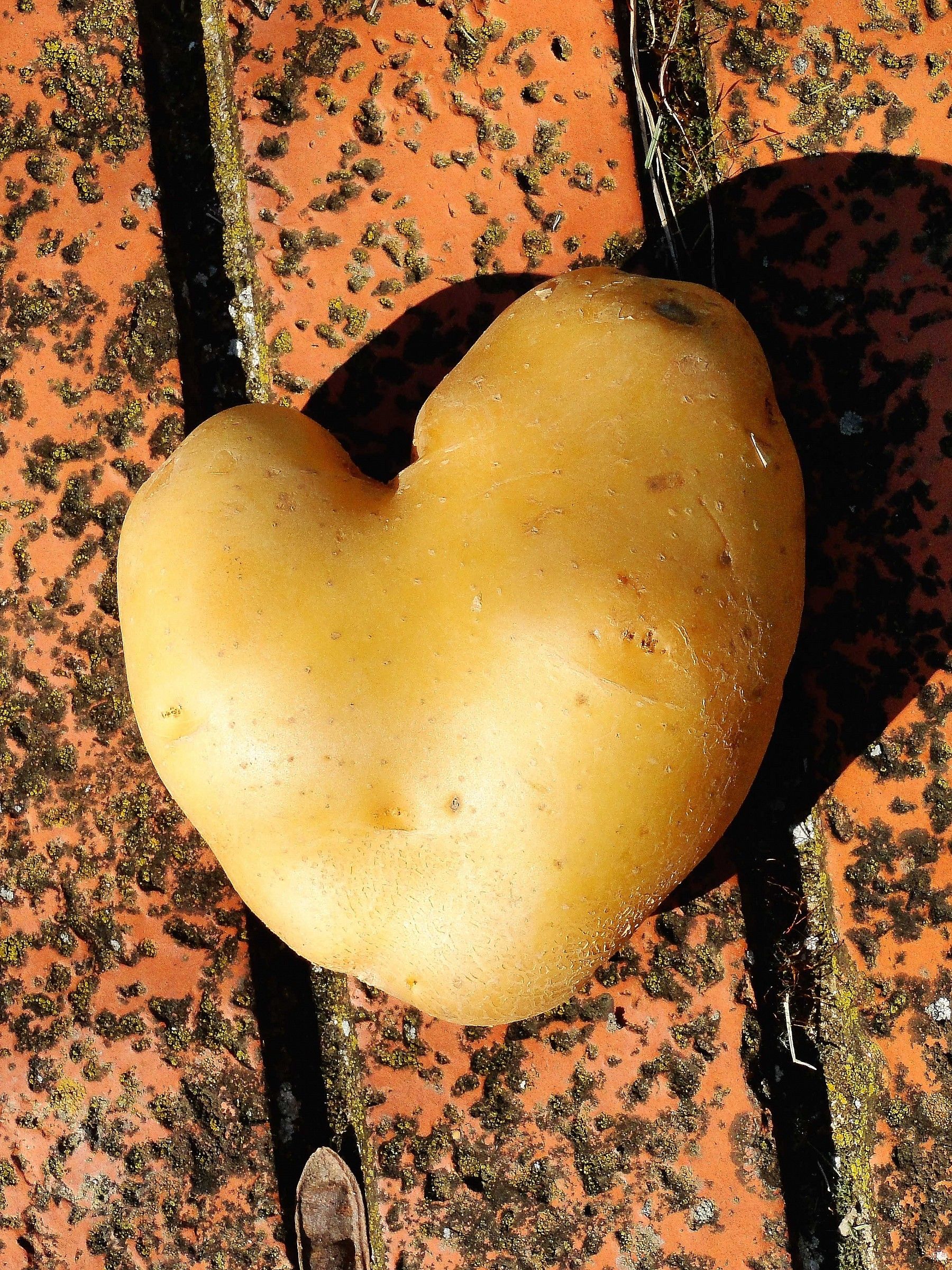 Heart of potato....
