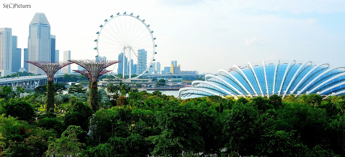 Garden By The Bay...