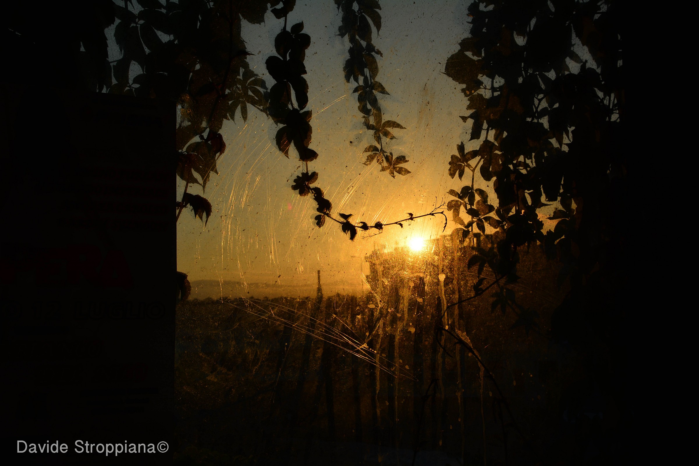 Untitled Photo...