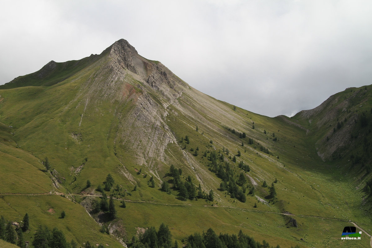 Panoramica Fuciade...