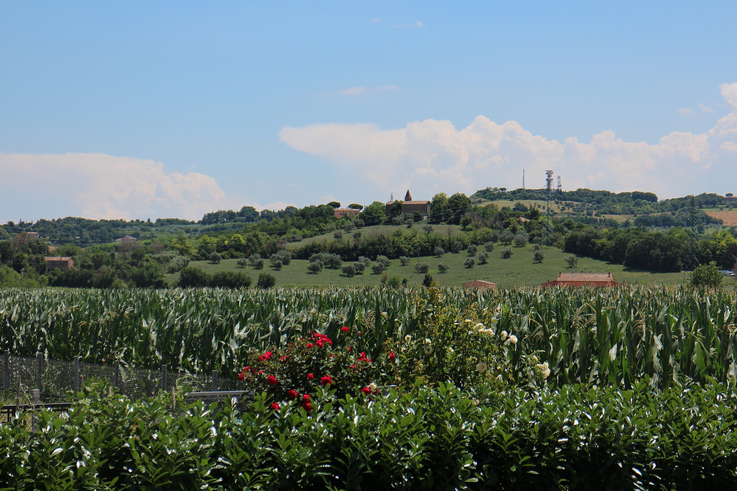 Chiesa in collina...